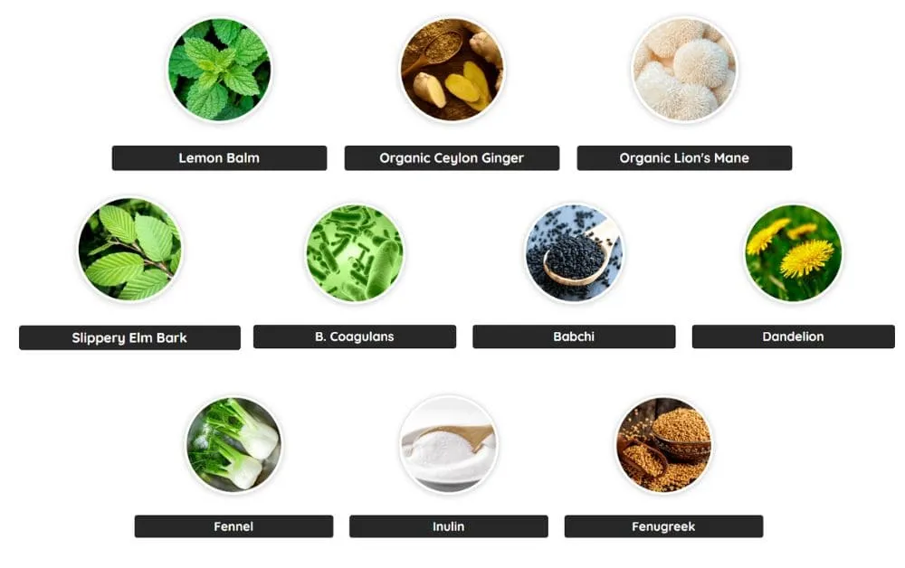 List of 11 supplement ingredients with images. Prime Biome Review