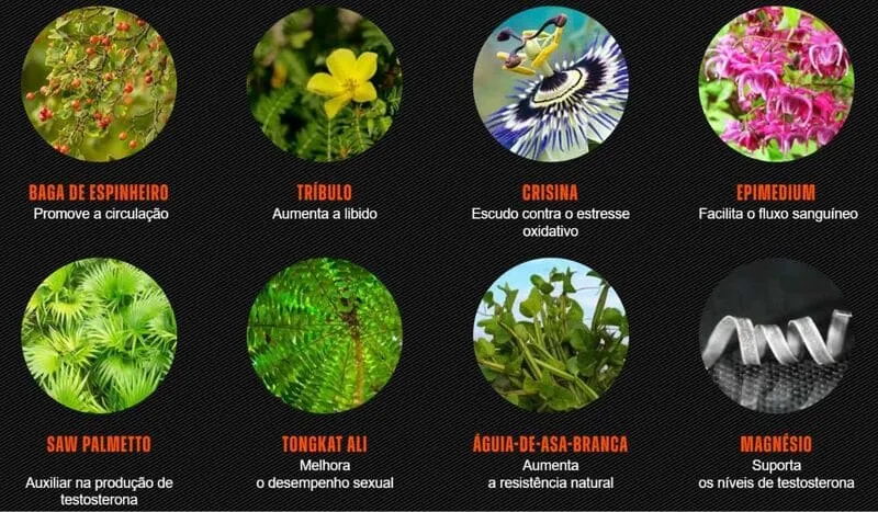 Eight circular images showcasing natural ingredients EndoPeak.