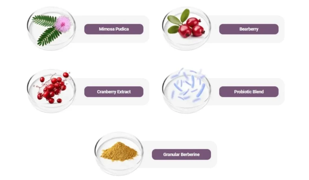 FemiPro supplement ingredients_Mimosa Pudica, Bearberry, Cranberry Extract, Probiotic Blend, Granular Berberine.