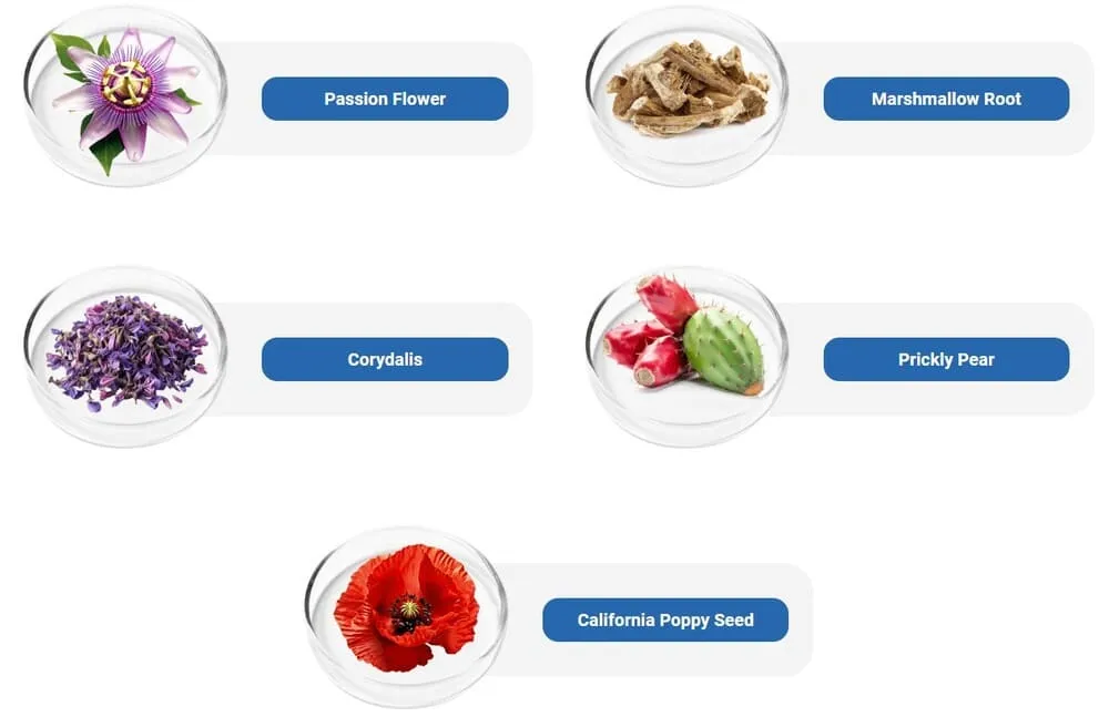 NervoVive supplement ingredients_Passion Flower, Marshmallow Root, Corydalis, Prickly Pear, California Poppy Seed.