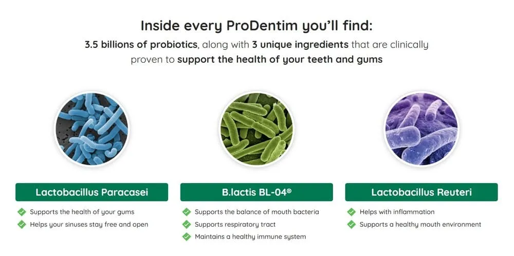 ProDentim supplement ingredients and benefits.
