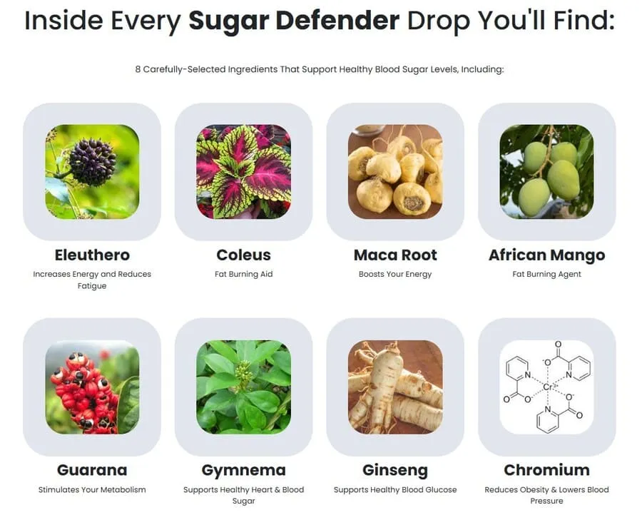 Sugar Defender ingredients_Eleuthero, Coleus, Maca Root, African Mango, Guarana, Gymnema, Ginseng, Chromium.